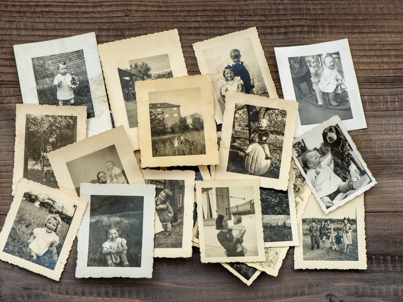 choose a theme and organize your photos